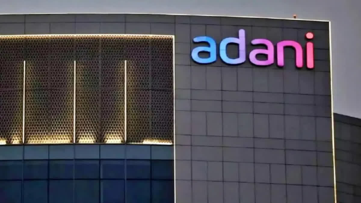 SC panel on Adani stock manipulation