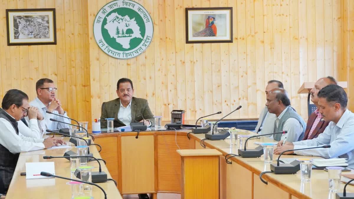 Meeting of Forest Department through video conferencing