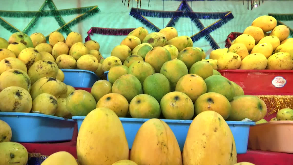 Fruit Research Station Issues In Sangareddy