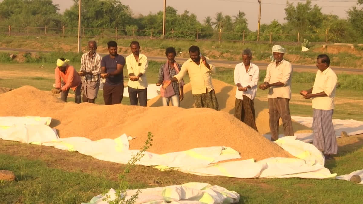 Farmers Waiting For Purchase of Grain