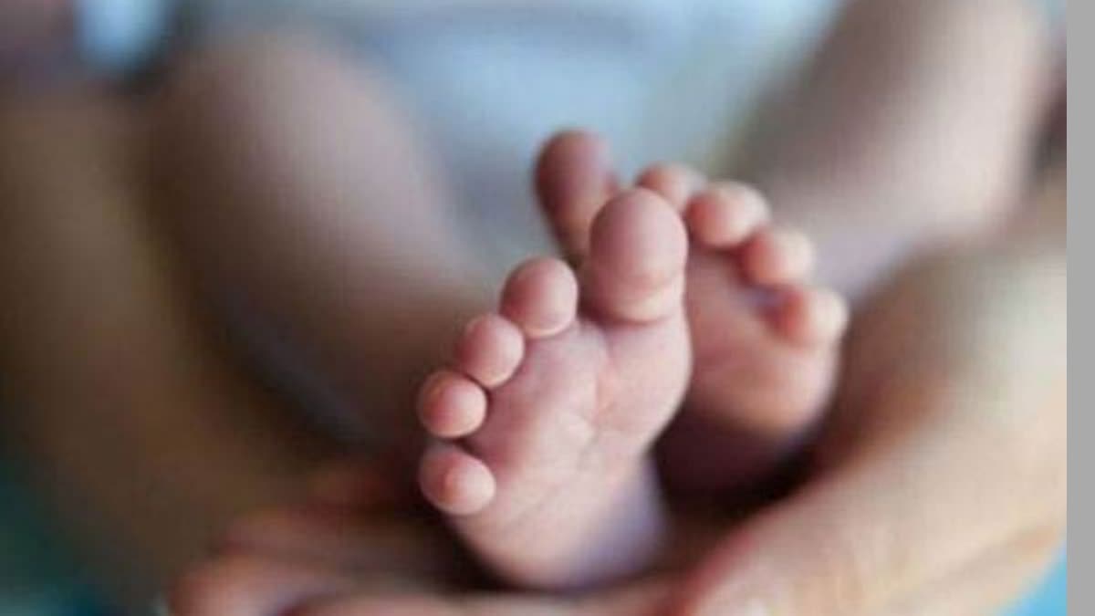 new born baby dead body rescued