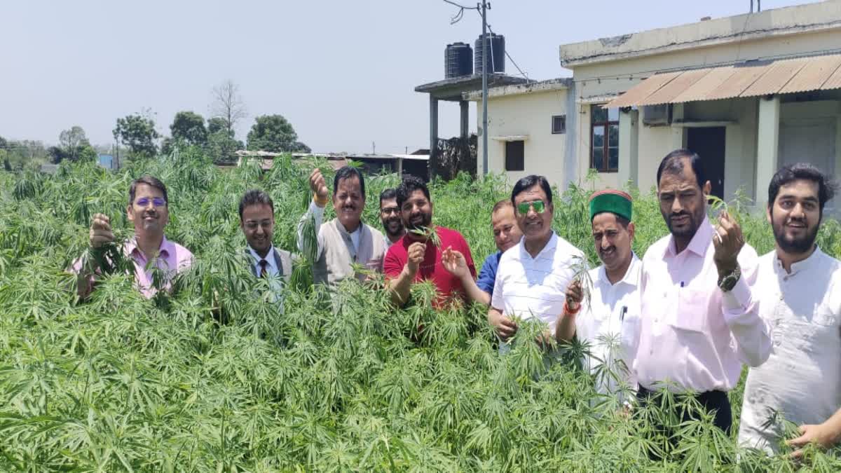 Horticulture Minister Jagat Singh Negi