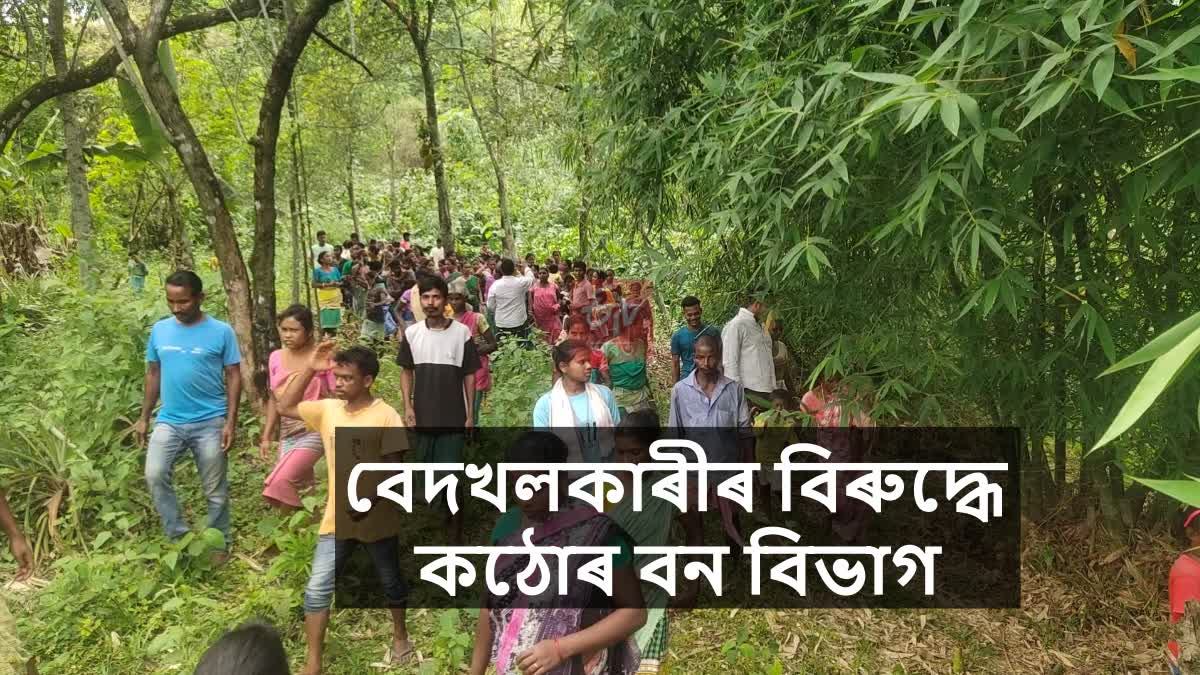 Forest Department Eviction Drive Against Illegal Encroachers in Kokrajhar