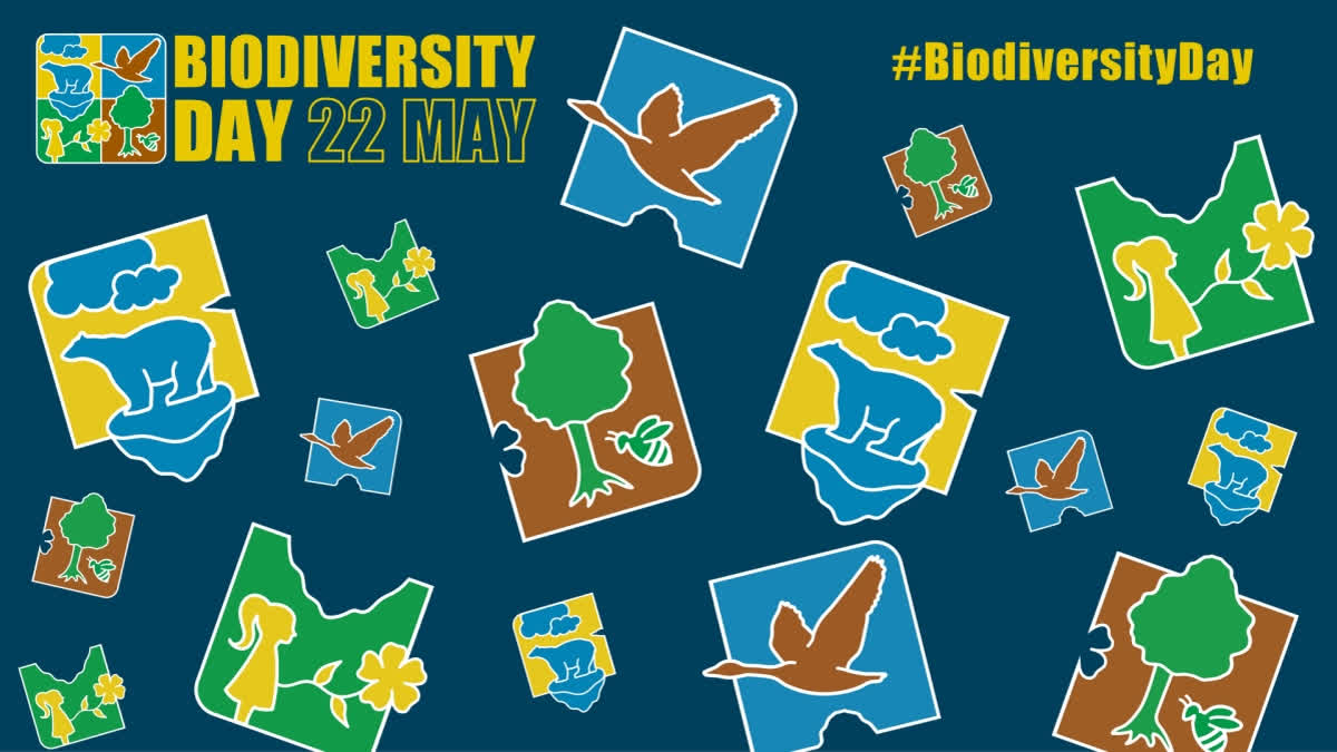 Etv BharatInternational Day for Biodiversity 2023