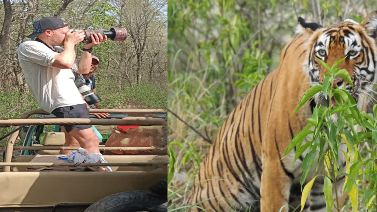 South Africa cricketer David Miller reach Sariska to see wildlife