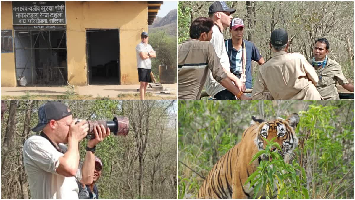 David Miller in Sariska