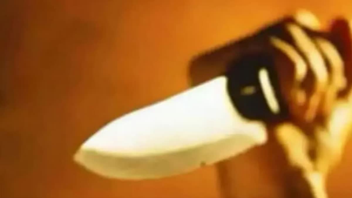 Neighbors attacked with knife for scolding child