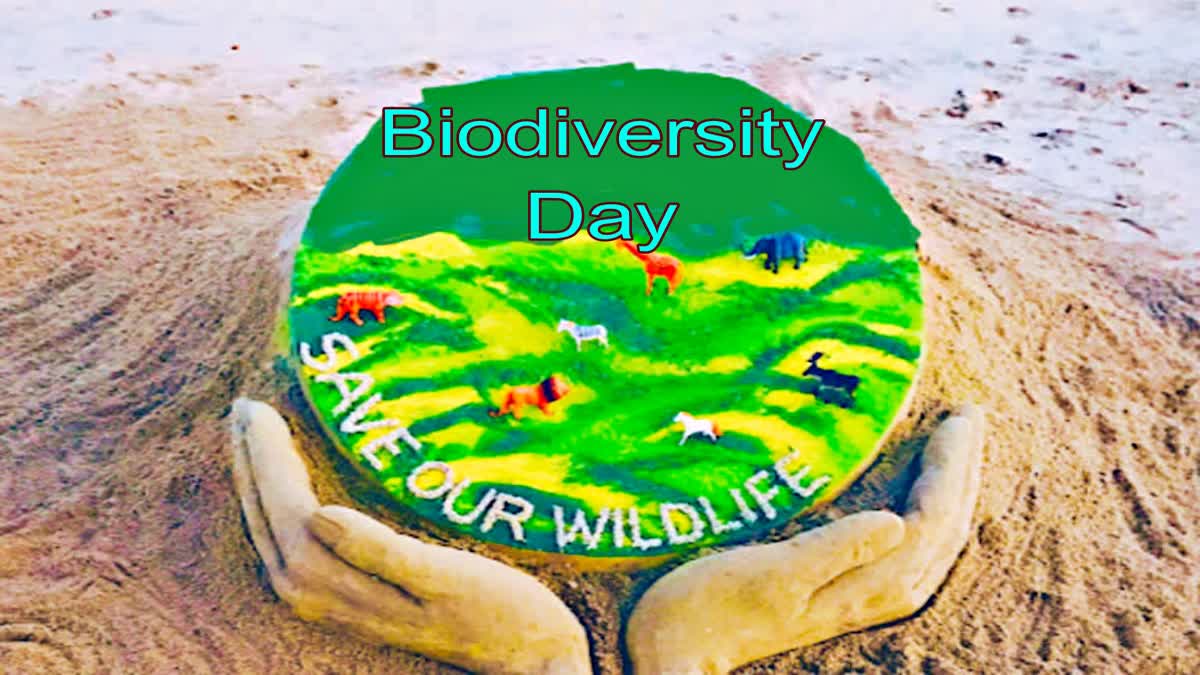 International Day for Biodiversity 2023 climate change pushing species to the brink of sudden extinction