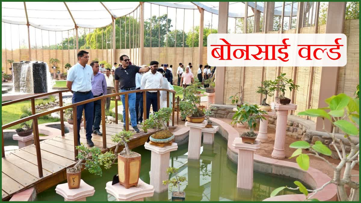 Bonsai World Made in Chandigarh Botanical Garden