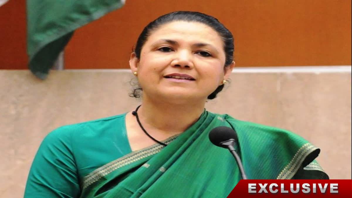 Indias former ambassador Meera Shankar