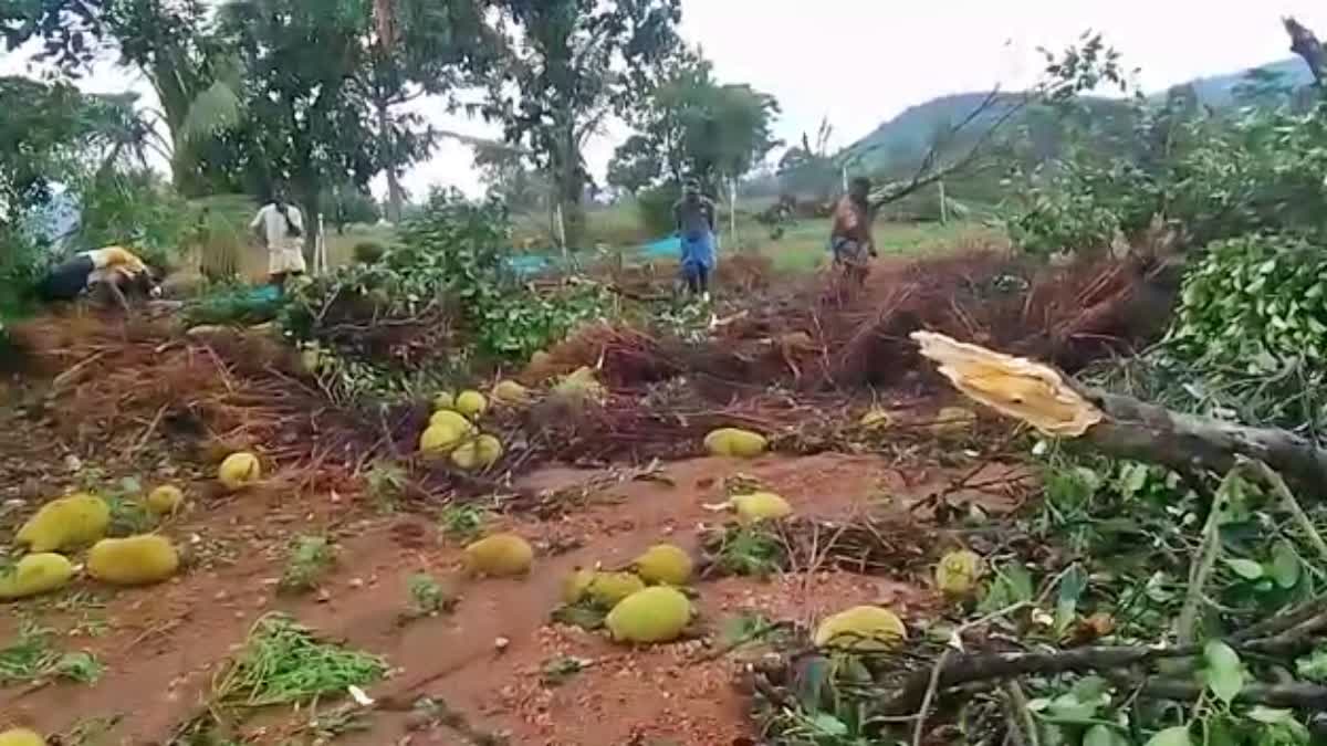 ಮಳೆರಾಯನ ಅಟ್ಟಹಾಸ