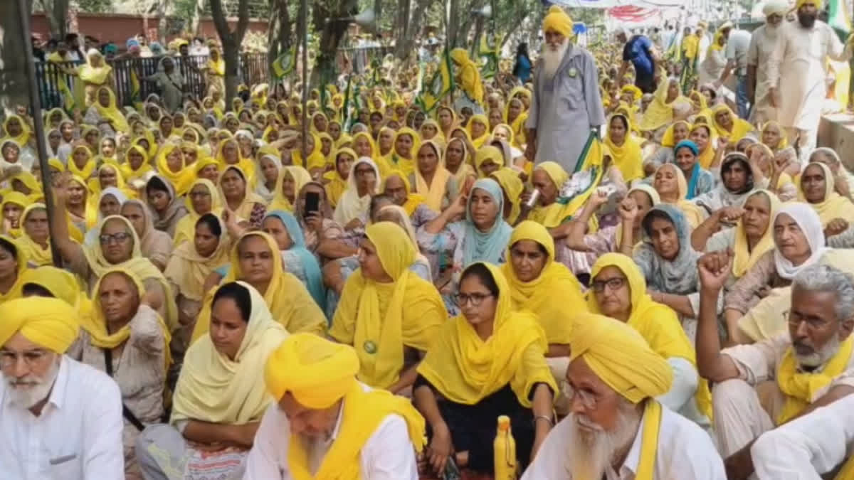 Farmers' sit-in continues in front of the SSP office in Sangrur