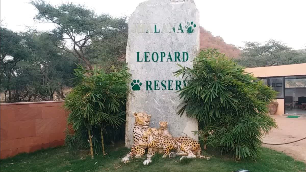 Jhalana Leopard Safari