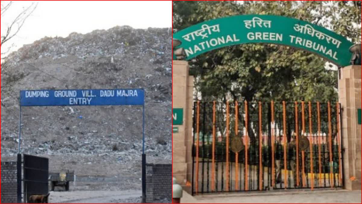 National Green Tribunal on chandigarh administration waste treatment