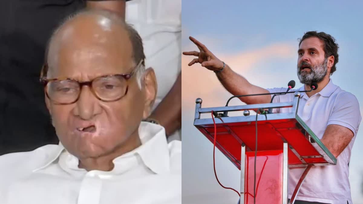 ராகுல் காந்தியின் சித்தாந்தத்தை மக்கள் வலுப்படுத்துவார்கள் - சரத் பவார்