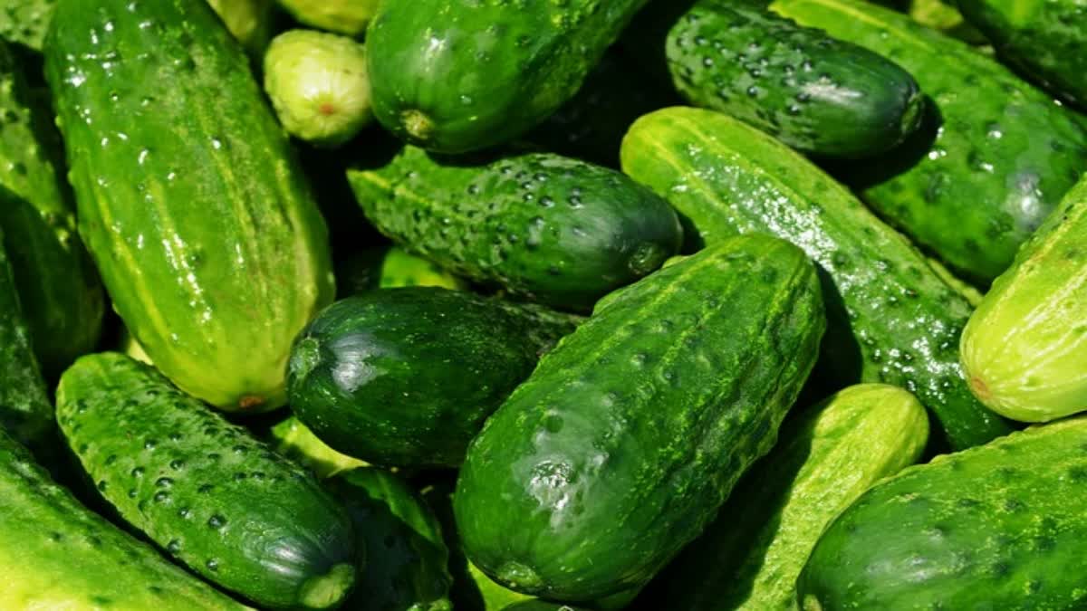 Cucumber For Health News