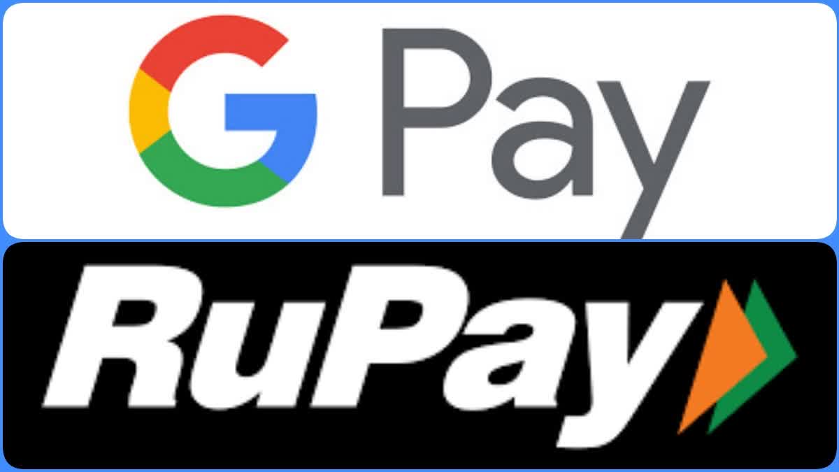 Google Pay launches RuPay credit cards support on UPI in India  ഗൂഗിൾ പേ  റുപേ ക്രെഡിറ്റ് കാർഡ്  യുപിഐ പേയ്‌മെന്‍റ്  Google Payട  RuPay credit cards  UPI  നാഷണൽ പേയ്‌മെന്‍റ് കോർപ്പറേഷൻ ഓഫ് ഇന്ത്യ  റിസർവ് ബാങ്ക് ഓഫ് ഇന്ത്യ  RuPay credit cards in Google Pay