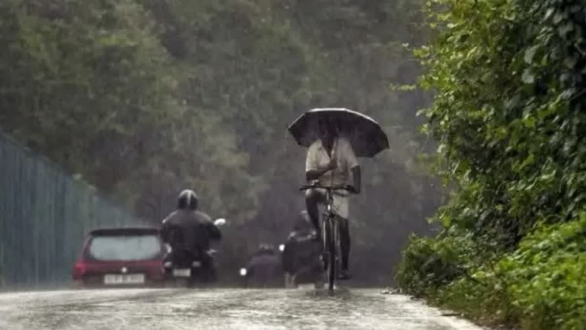 weather updates kerala  weather updates  rain updates  rain  weather  മഴ  കേന്ദ്ര കാലാവസ്ഥ വകുപ്പ്  മഴയ്ക്കുള്ള സാധ്യത  യെല്ലോ അലർട്ട്  മഴയ്‌ക്ക് സാധ്യത  മത്സ്യത്തൊഴിലാളികൾക്ക് ജാഗ്രത നിര്‍ദേശം  യെല്ലോ അലർട്ട് പ്രഖ്യാപിച്ച ജില്ലകൾ  kerala climate