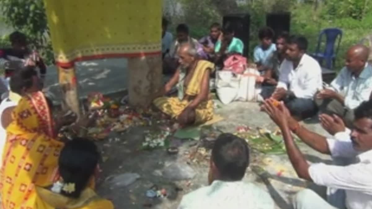 Marriage of Two Trees in Koraput