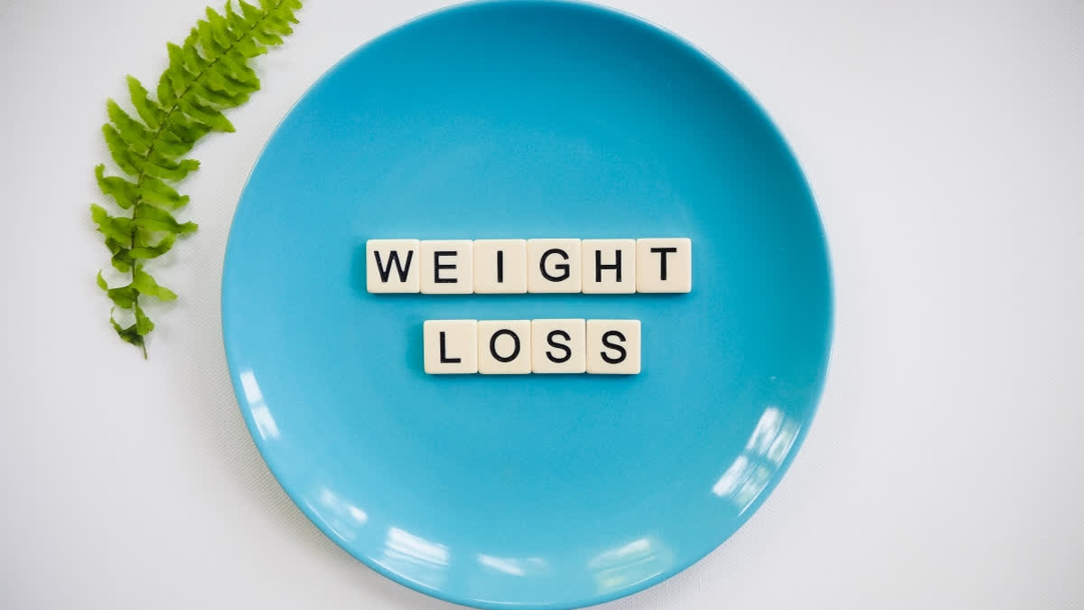 Plate size impacts your meal intake