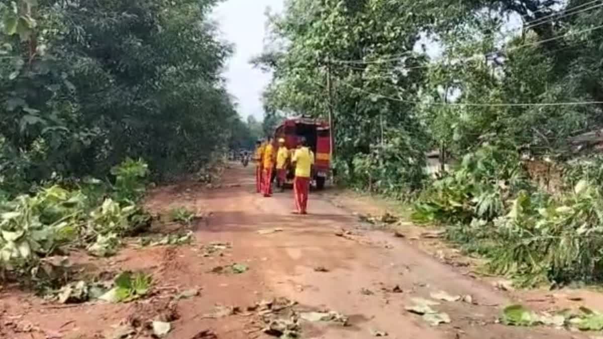 thunderstorm effect in rayagada