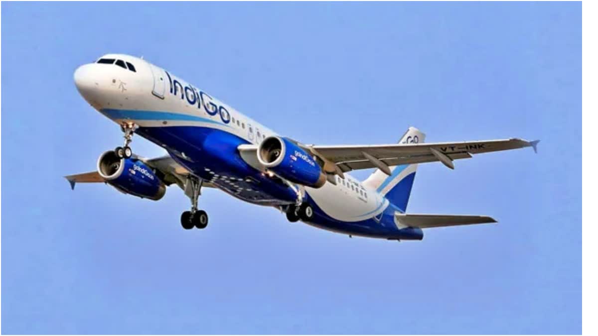 Dubai bound Indigo flight suffers bird hit