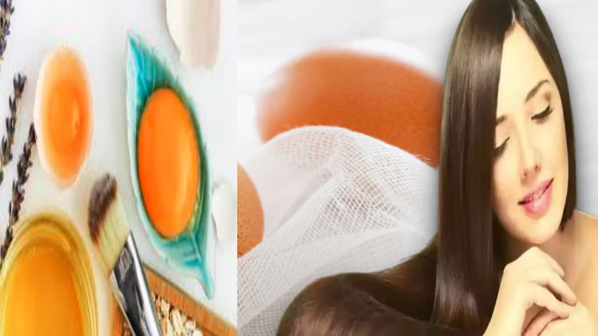 Egg For Skin Care News