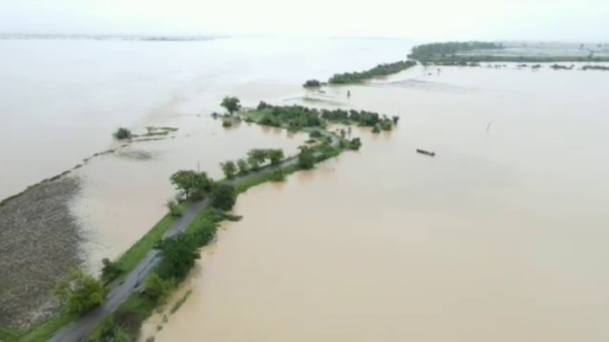 Godawari Banks are washed away Due to Rains