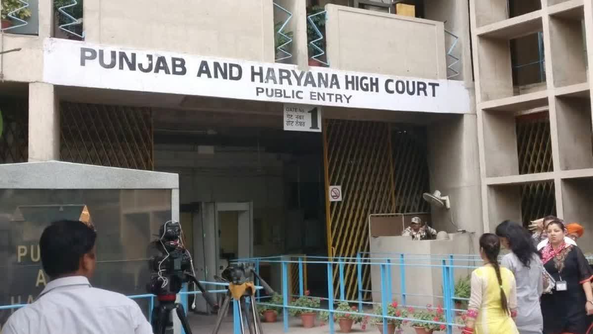 punjab haryana high court