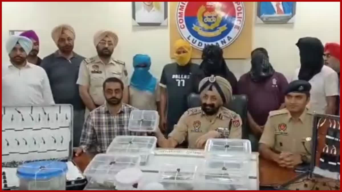 Ludhiana police arrested 5 gangsters