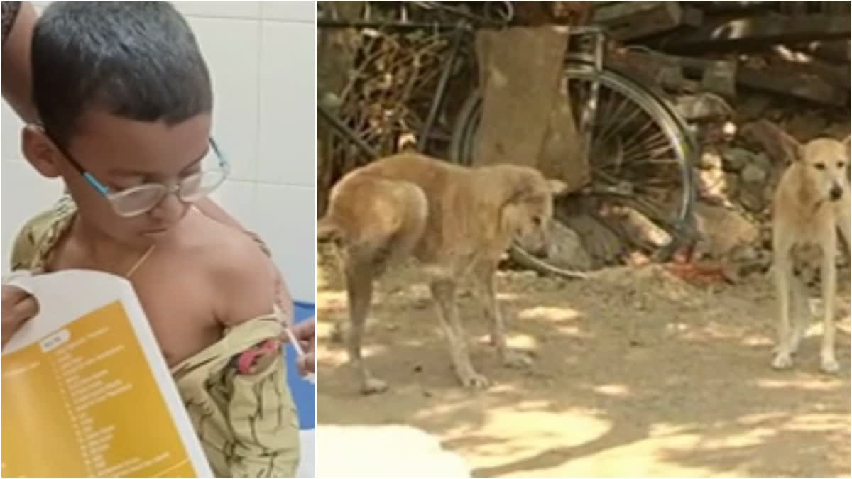 boy receiving treatment for a stray dog attack in Bellary