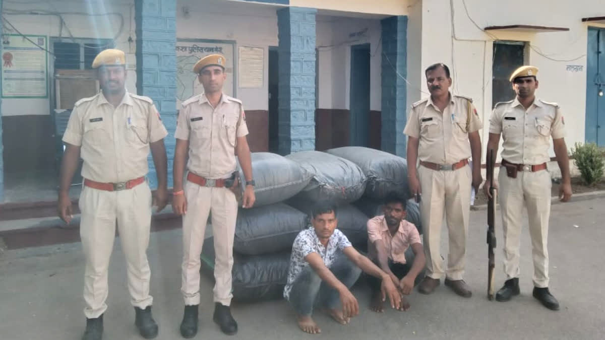 186 kg doda saw dust seized in Chittorgarh, two accused arrested