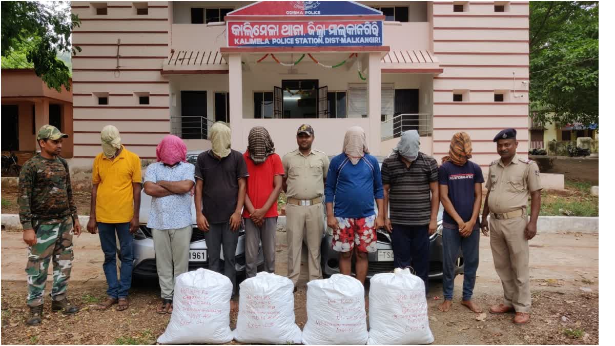 cannabis smuggling in malkangiri