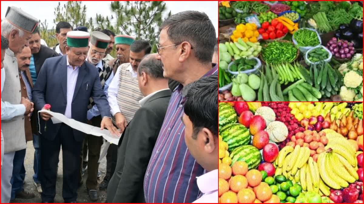 शिमला के पास 293 बीघा में बनेगी फल और सब्जी मंडी