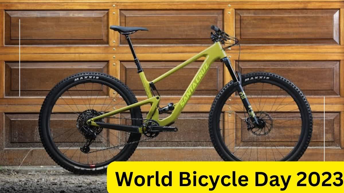 World Bicycle Day