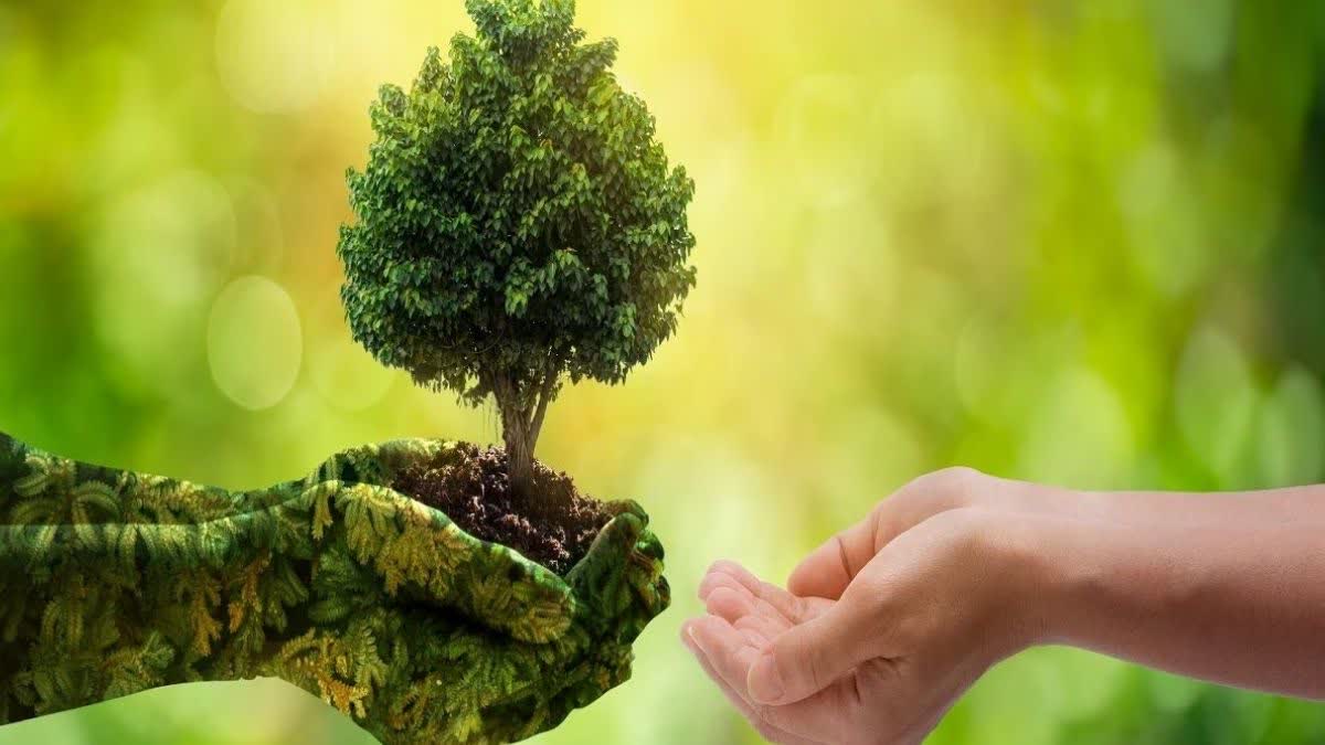 World Environment Day