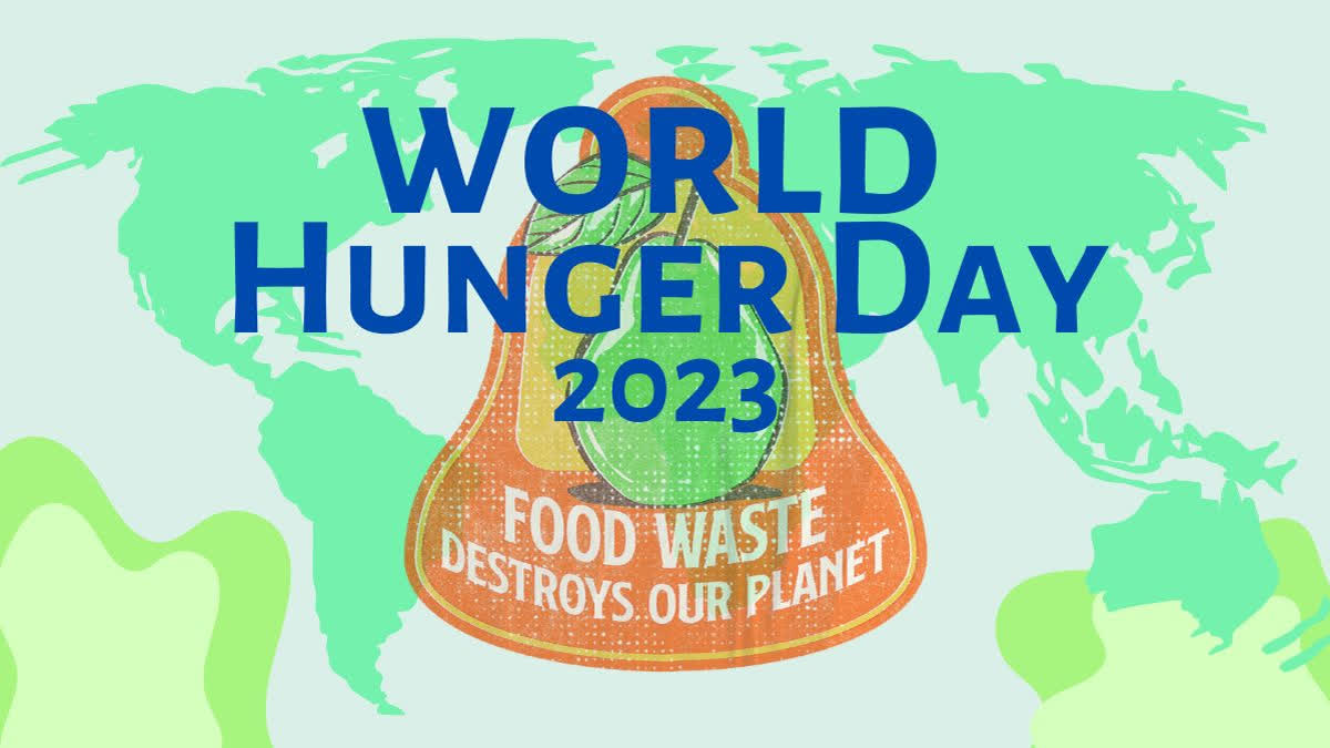 World Hunger Day 2023 Celebrating Sustainable Solutions To Hunger And Poverty