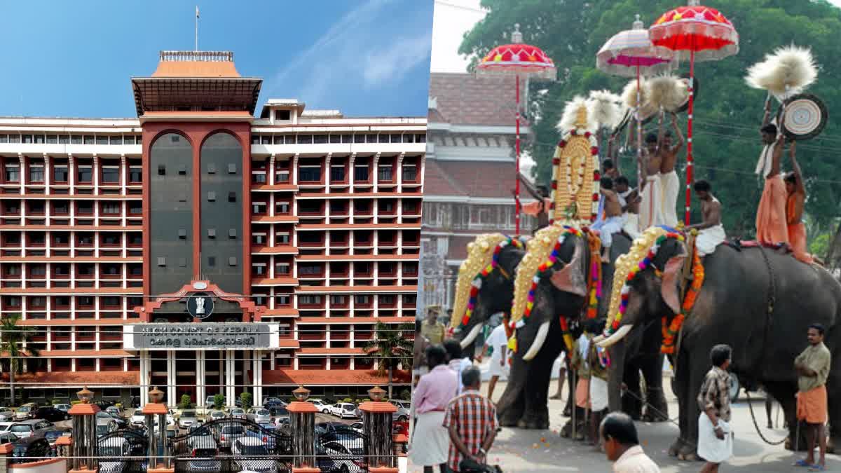 High court says to ensure proper rest time  High court  Elephant and caretakers  proper rest time to both Elephant and caretakers  Elephant  ആനയ്ക്കും പാപ്പാനും മതിയായ വിശ്രമം ഉറപ്പാക്കണം  ആനയ്ക്കും പാപ്പാനും  ആന  എഴുന്നള്ളത്തിന് നിയന്ത്രണങ്ങൾ വേണമെന്നറിയിച്ച്  ഹൈക്കോടതി  സൊസൈറ്റി ഫോർ എലിഫന്‍റ് വെൽഫെയർ  പൊതുതാല്‍പര്യ ഹര്‍ജി  കോടതിയുടെ നിര്‍ദേശം  എറണാകുളം  ഉത്സവങ്ങളിൽ ആനയെ എഴുന്നള്ളിക്കുന്നതിൽ