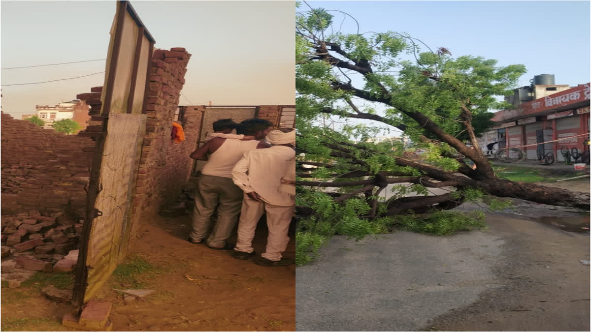 jaipur storm created a ruckus