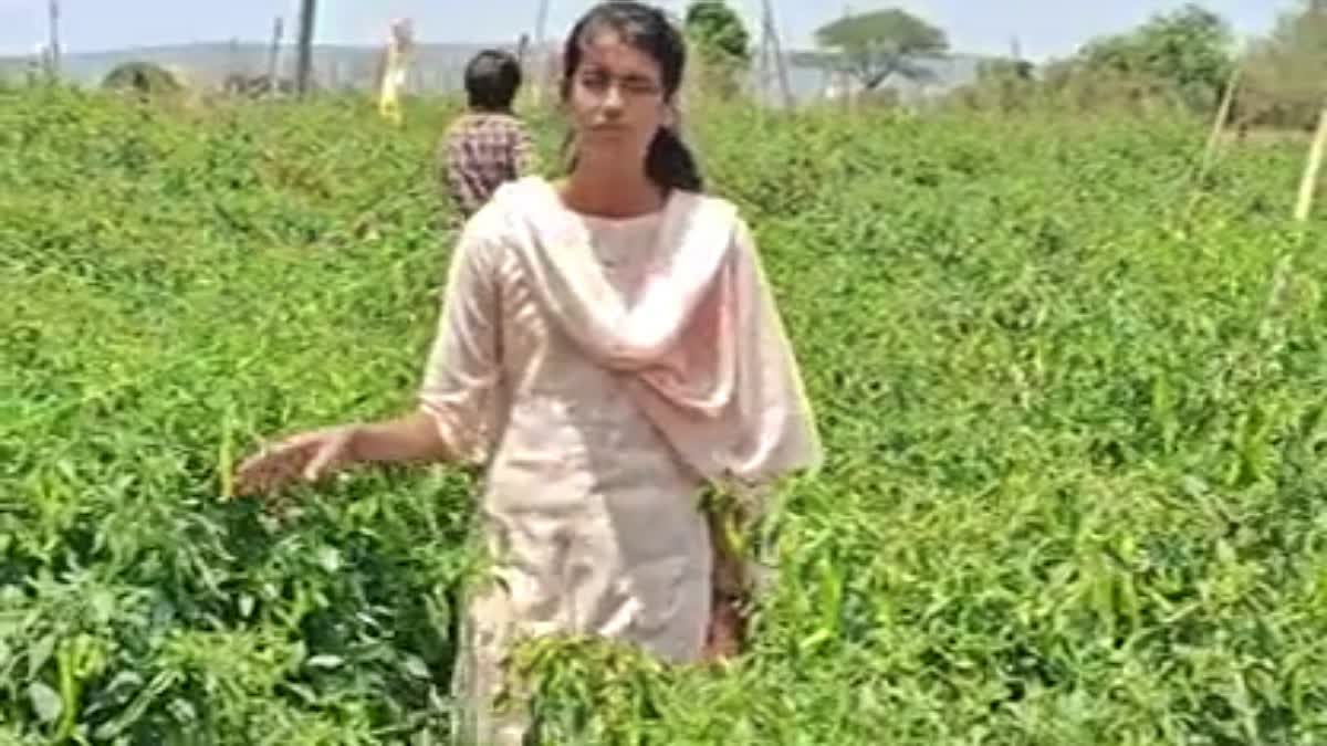 ಸಿಎ ಬಿಟ್ಟು ಕೃಷಿಗಿಳಿದ ವಿಧ್ಯಾರ್ಥಿನಿ