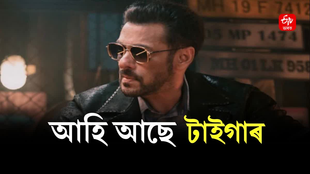 Salman Khan Upcoming film Tiger 3 shooting completed
