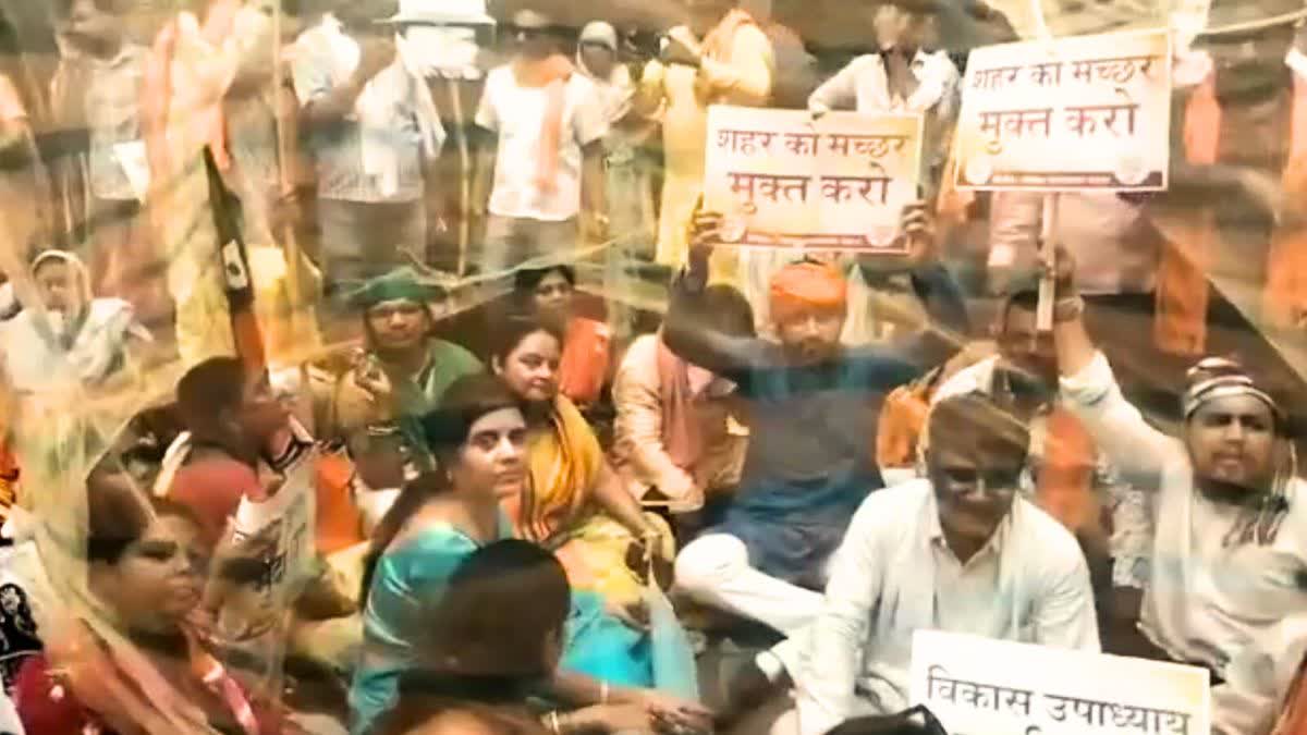 BJP unique protest by sitting inside mosquito net