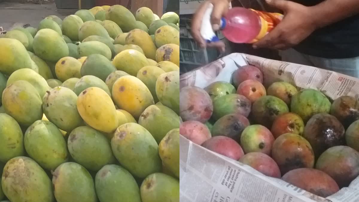 ripened mangoes in Ranchi