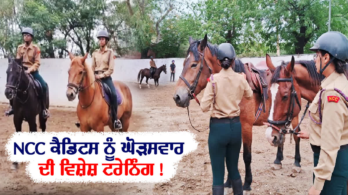 Special horse riding training being imparted to NCC cadets