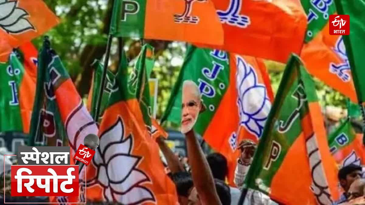 लोकसभा चुनाव 2019 में यूपी में भाजपा का प्रदर्शन