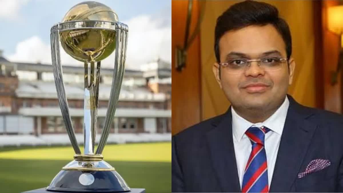 ICC Cricket World Cup 2023 schedule to be unveiled during World Test Championship final