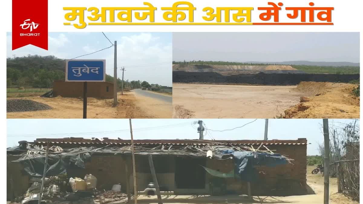 latehar-tubeid-coal-mine-illegally-encroached-land-of-locals-without-giving-compensation