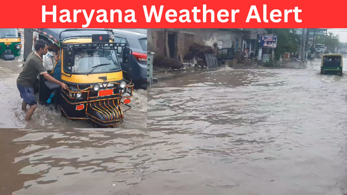 Haryana Weather Today 29 may
