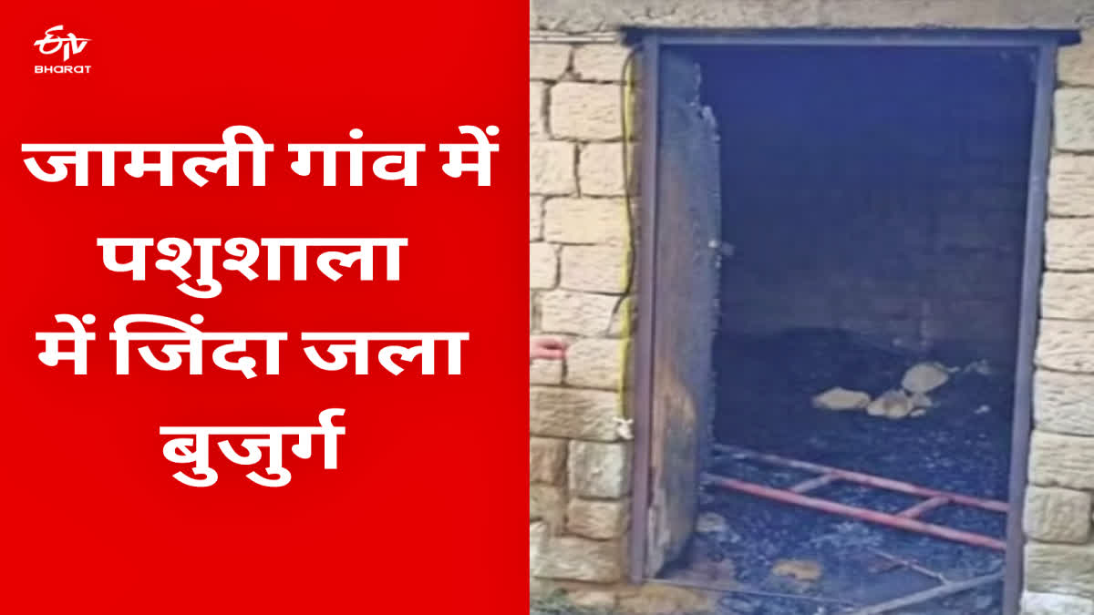 Old man burnt alive in village Jamli