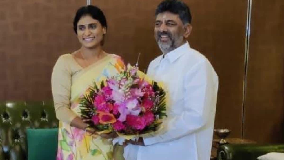 sharmila meet shivakumar